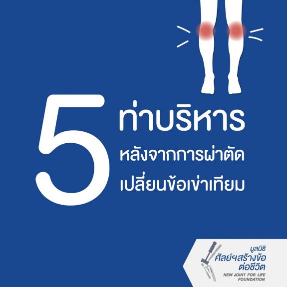 36573951_2008376039492241_5207373282025668608_n