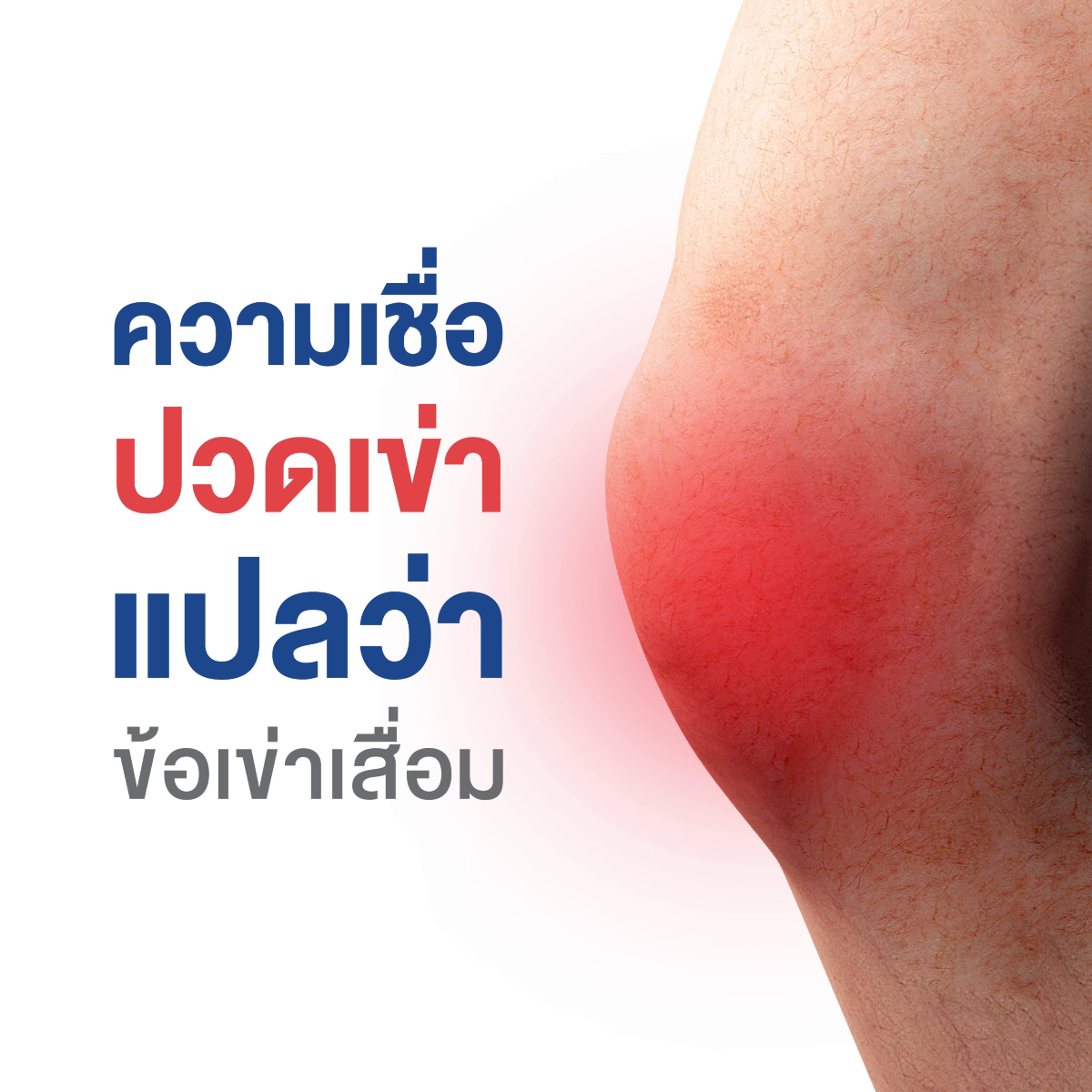 vlcsnap-2018-09-12-15h21m23s367